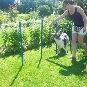 Momentaufnahme   229