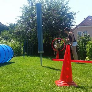 Momentaufnahme   228