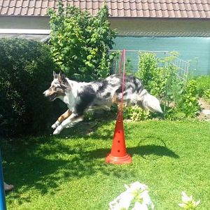 Momentaufnahme   222