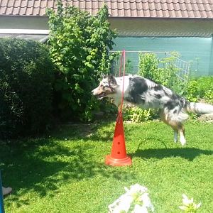 Momentaufnahme   221