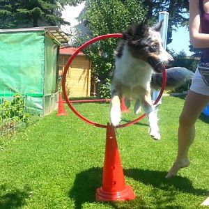 Momentaufnahme   215