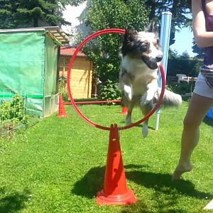 Momentaufnahme   214