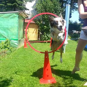 Momentaufnahme   213