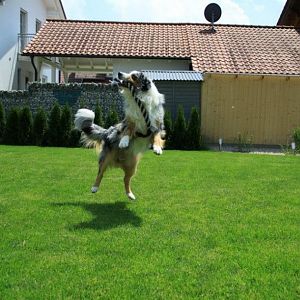 296128 590528177636614 1015172146 n