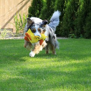 942076 579662525389846 1689009573 n