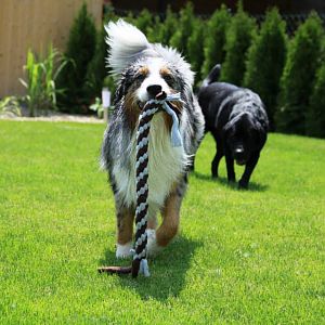 944350 590528087636623 1879981489 n