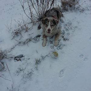 passt farblich perfekt zur Umgebung