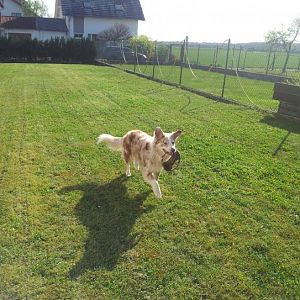 die erste Woche bei uns