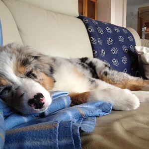 leif hats ihr erlaubt ;)