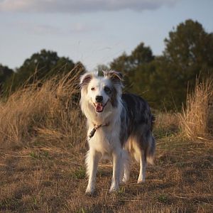 huwi tricks1408 23 copy