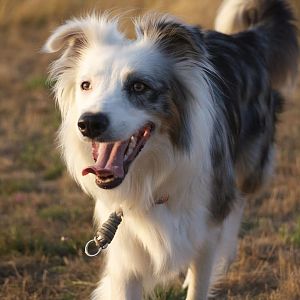 huwi tricks1408 24 copy