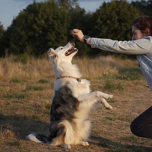 huwi tricks1408 25 copy