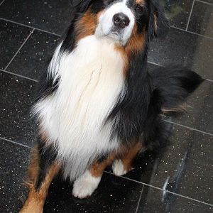IMG 1435  zugeschnitten