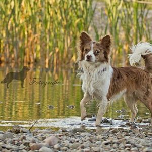 Mein Lieblingsbild von ihm *_* :)