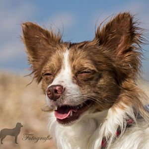 Spaß Fotoshooting 2013