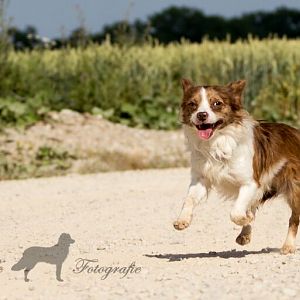 er hat meeega power ;)