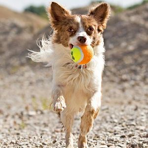 Mit seinem Lieblingsspielzeug ^^