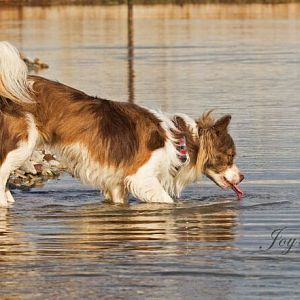 Zwischendurch trinken muss sein :P
