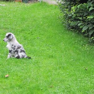 morpheus und Katze 4