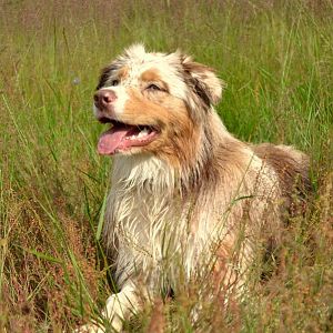 9252404851 f6b0f7a78b o