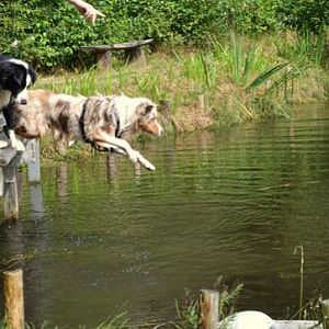 9299645377 01c8fcafe6 z