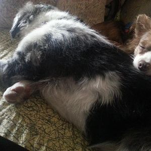 Schon vom ersten Tag an schlafen sie zusammen :)