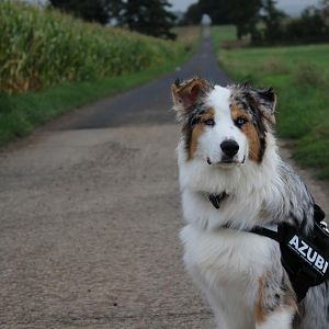 xxxxxxxxxxxxxxxxxxxxs