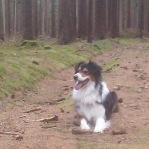 2013
Endlich mal geklappt, mit dem hochladen, irgendwie umständlich :)