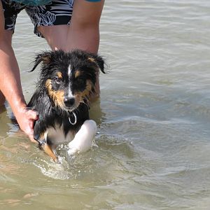 Schwimmversuch die 2.