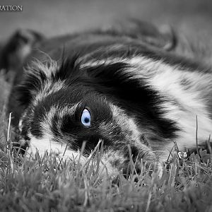 6466 10200148775702245 1652584761 n