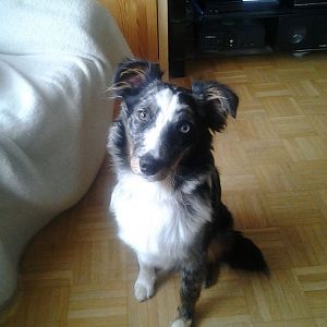 965125 4947556771808 544916568 o