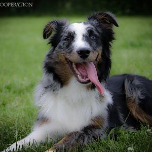 1000798 10200148364091955 1404187810 n