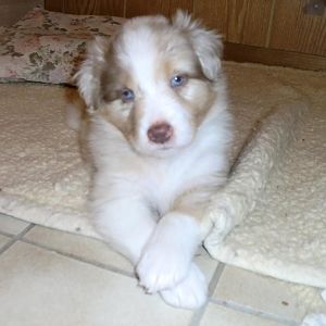 Kaya etwas mehr als einen Monat alt!