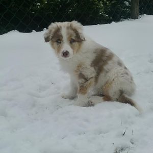 Die ersten Tage Zuhause und der Schnee ist so kalt :-)