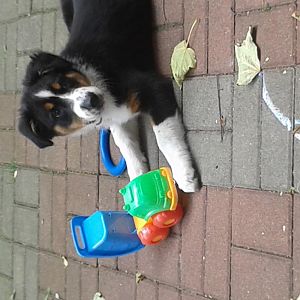 20130827 144617