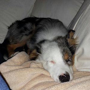 Schläfchen tzzzzz
