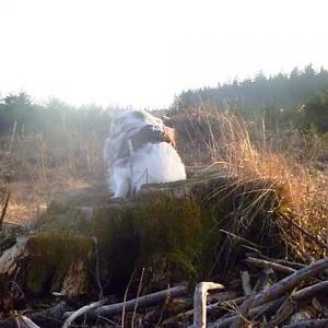 irgendwo muss hier das Leckerli sein..?