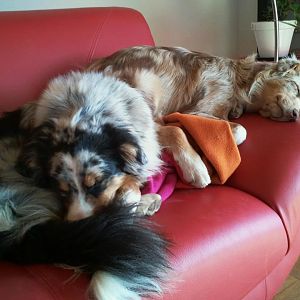 554974 2927409868401 1355558020 32165013 541621568 n