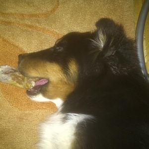 Paul 13: völlig entspannt eingeschlafen...