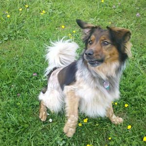 2012 05 11 15 07 33 270