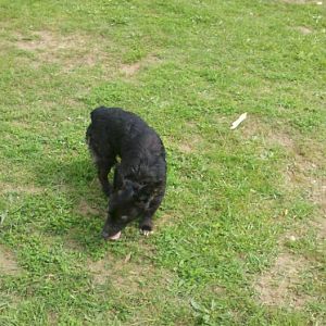 2012 05 11 15 26 05 770