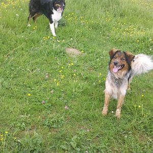 2012 05 11 15 07 05 311