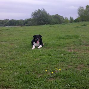 2012 05 11 15 19 11 124