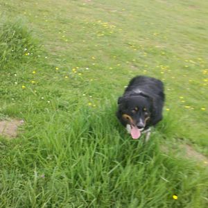 2012 05 11 15 06 25 842