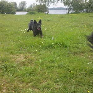 2012 05 11 15 10 58 316