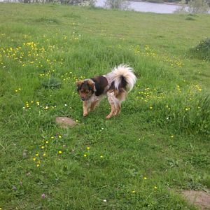 2012 05 11 15 05 48 363