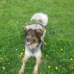 2012 05 11 15 07 15 573