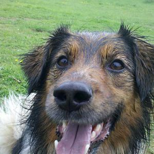 2012 05 11 15 19 18 305