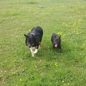 2012 05 11 15 08 36 34