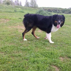 2012 05 11 15 18 58 229